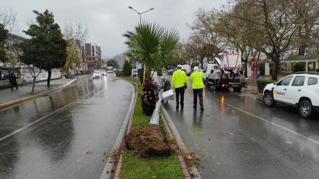 Fırtına direkleri yıktı.