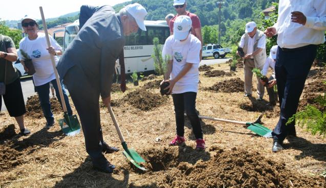  POSBIYIK VE ÇORUMLUOĞLU FİDAN DİKTİ