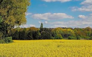 16 Aralık’a kadar uzatıldı