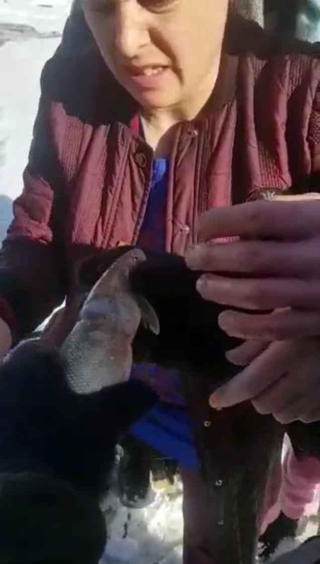 Ağa takılan balığı piknikçi aile kurtardı