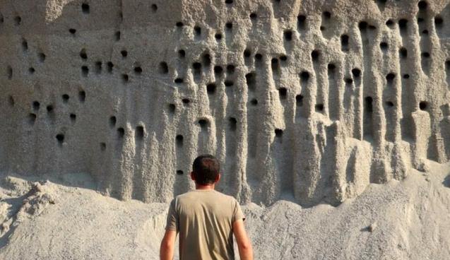 Kuşlar için yeniden taşınacak 