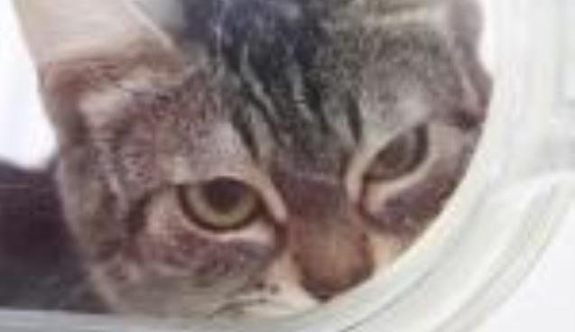 Onlara Zarar Vermeyin, Yalvarıyorum Size