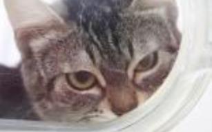 Onlara Zarar Vermeyin, Yalvarıyorum Size