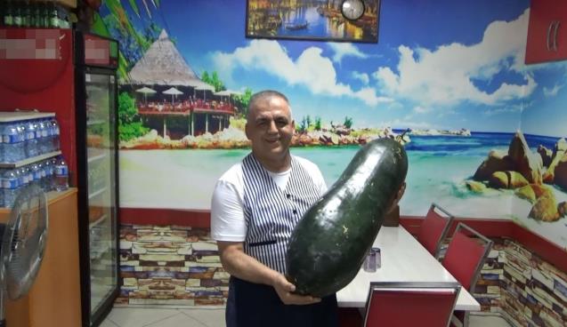 Dev salatalık görenleri şaşkına çeviriyor 