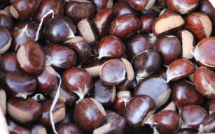 Alan da dertli, satan da..