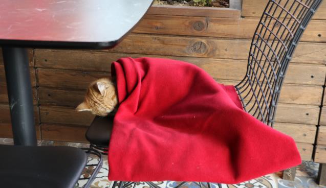 Karabüklü esnaftan örnek davranış