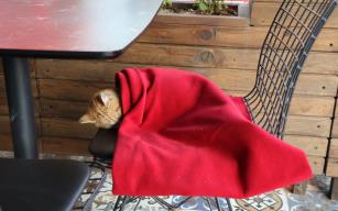 Karabüklü esnaftan örnek davranış