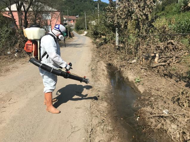 GÜNEŞLİ’DE SEL SONRASI İLAÇLAMA YAPILDI