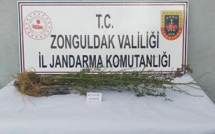 Uyuşturucu yakalandı.