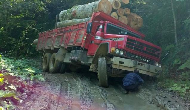  Tomruk yüklü kamyon yan yattı