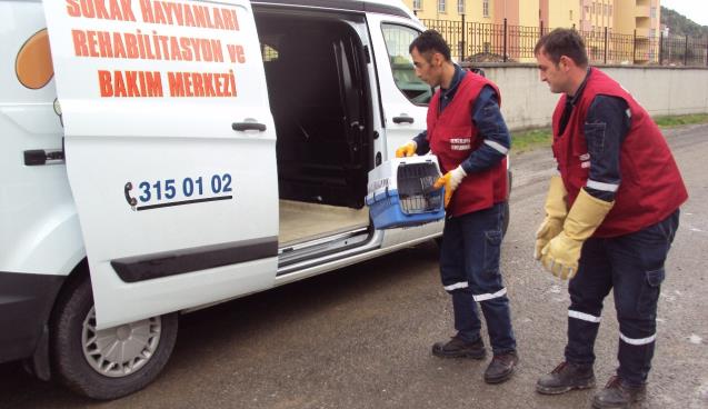 VETERİNER İŞLERİ MÜDÜRLÜĞÜ FAALİYET VİDEOSU YAYINLADI 