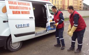 VETERİNER İŞLERİ MÜDÜRLÜĞÜ FAALİYET VİDEOSU YAYINLADI 