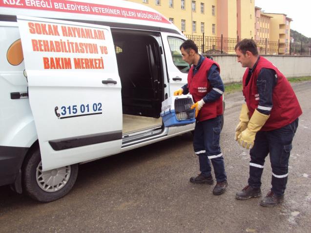 VETERİNER İŞLERİ MÜDÜRLÜĞÜ FAALİYET VİDEOSU YAYINLADI