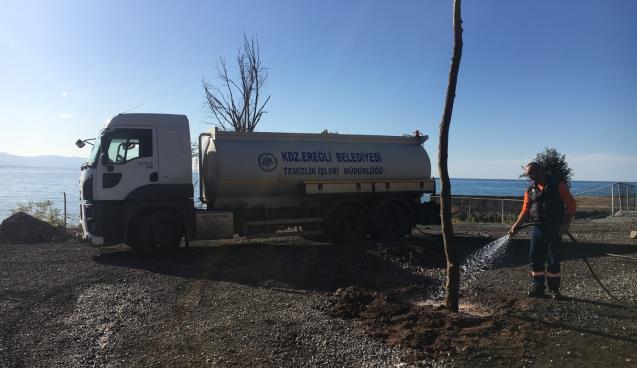 EREĞLİ'YE YENİ ÇINARLAR DİKİLDİ