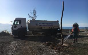 EREĞLİ'YE YENİ ÇINARLAR DİKİLDİ