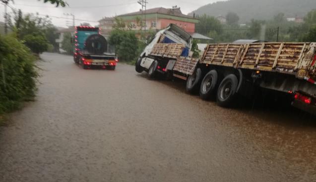 “Başka canlar yanmasın”