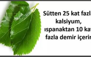 Ucuz olduğu için, reklamı yapılmadığından bilinmiyor