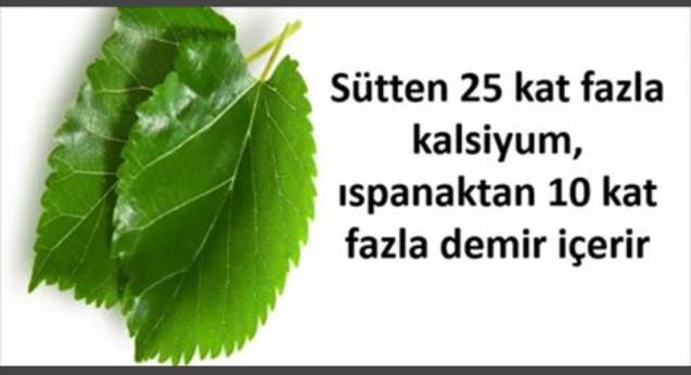 Ucuz olduğu için, reklamı yapılmadığından bilinmiyor