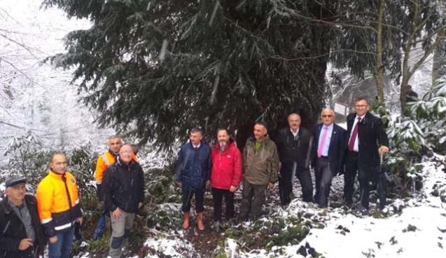 Bektaş’tan Porsuk Ağacına ziyaret…