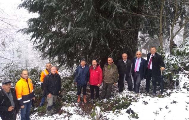 Bektaş’tan Porsuk Ağacına ziyaret…
