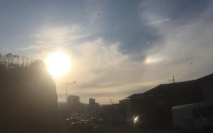 Görenler anlam veremedi…