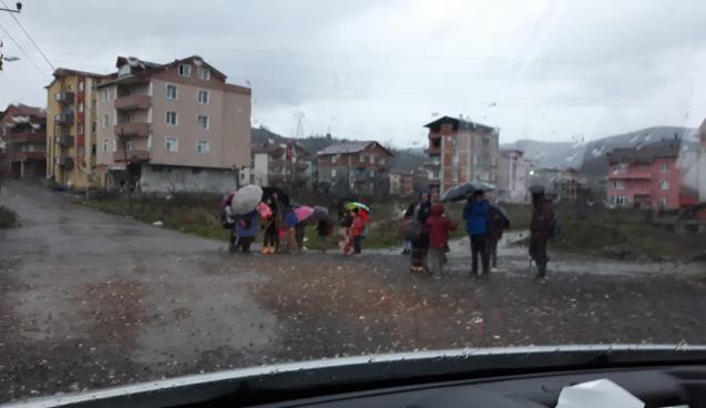 Biz İnsan Değilmiyiz...