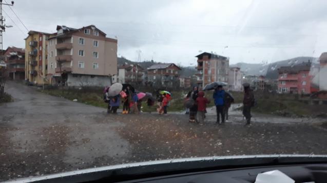 Biz İnsan Değilmiyiz...