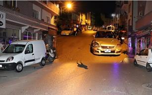 Gece kütlemeye uyandılar…