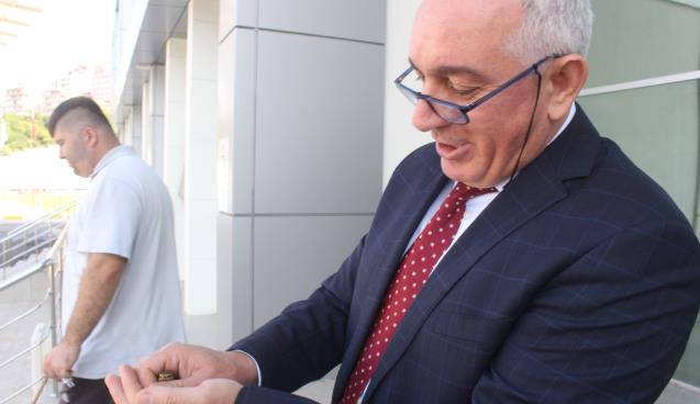 Yavru kuşu baktılar, eski gücüne kavuşunca doğaya saldılar