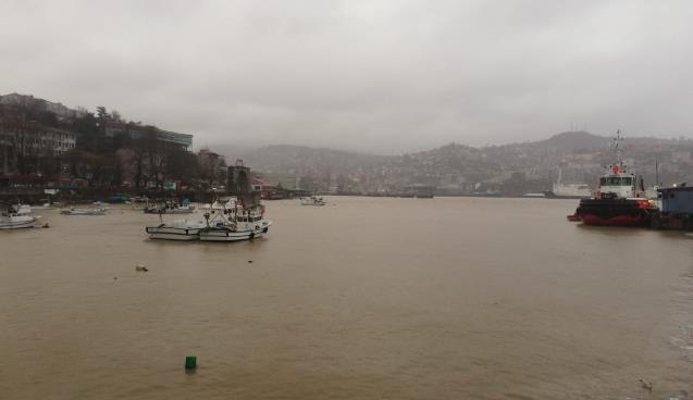 Zonguldak'ta yağışla birlikte liman sarıya döndü