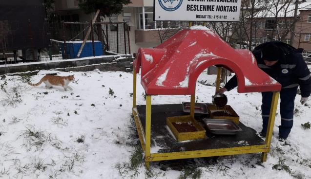 SOKAK HAYVANLARI UNUTULMADI