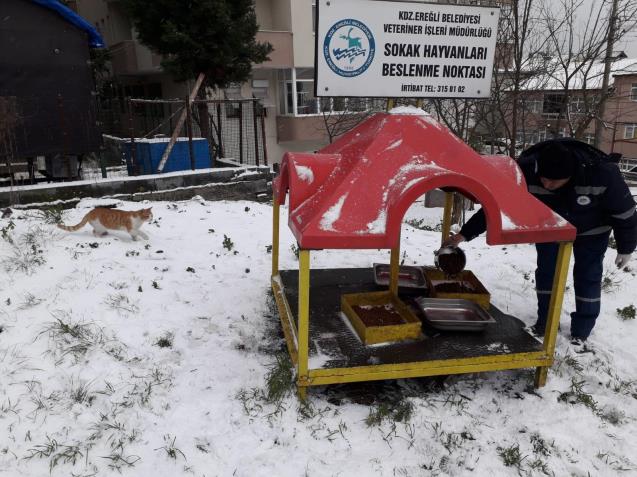 SOKAK HAYVANLARI UNUTULMADI
