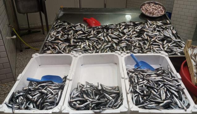 Balıkçılar beklediklerini alamadı