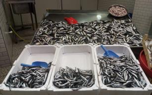 Balıkçılar beklediklerini alamadı