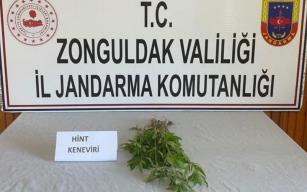 Kenevire Gözaltı.