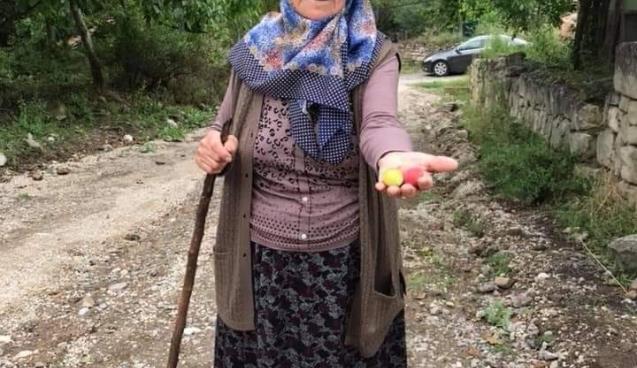  Yolcu minibüsünün çarptığı yaşlı kadının kimliği belli oldu