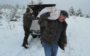 Yaban hayvanlarına yem bırakıldı