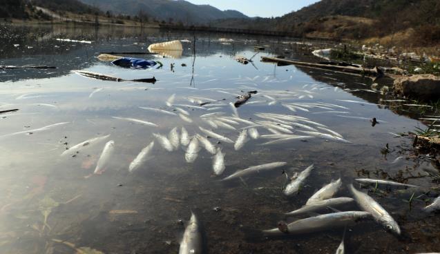 Çevre katliamına neden olan fabrikalara 360 bin TL ceza...