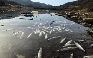 Çevre katliamına neden olan fabrikalara 360 bin TL ceza...