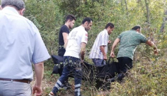  Ceviz ağacından düşen yaşlı kadın hayatını kaybetti